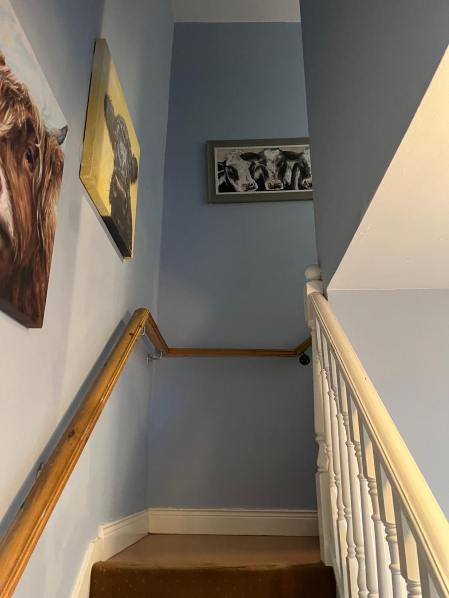 11 Parkmore Street, Ormeau Road, Belfast, Bt7 2Gt, 2 Bedroom House Exterior foto